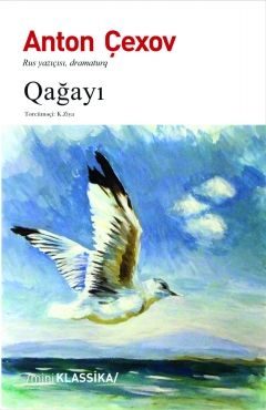 Qağayı