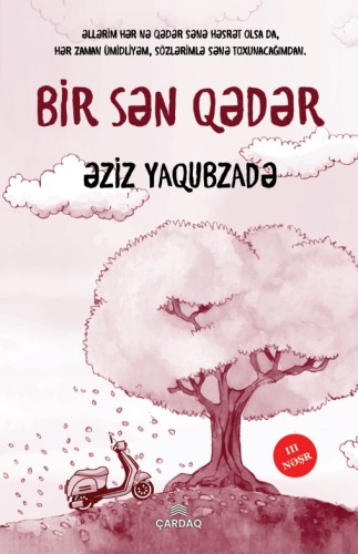 Bir sən qədər